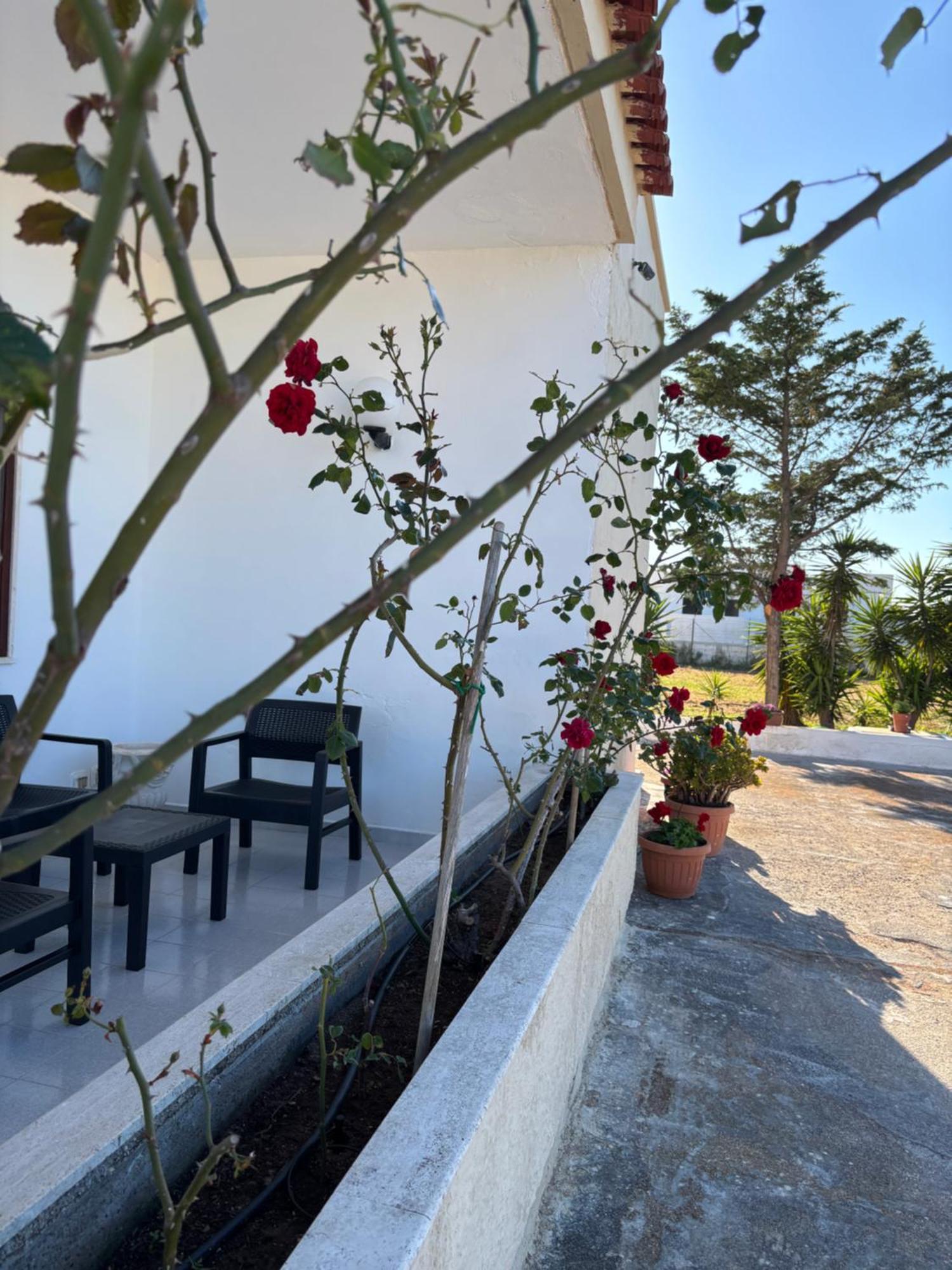 Villa Lilly'S House Torre Santa Sabina Exterior foto